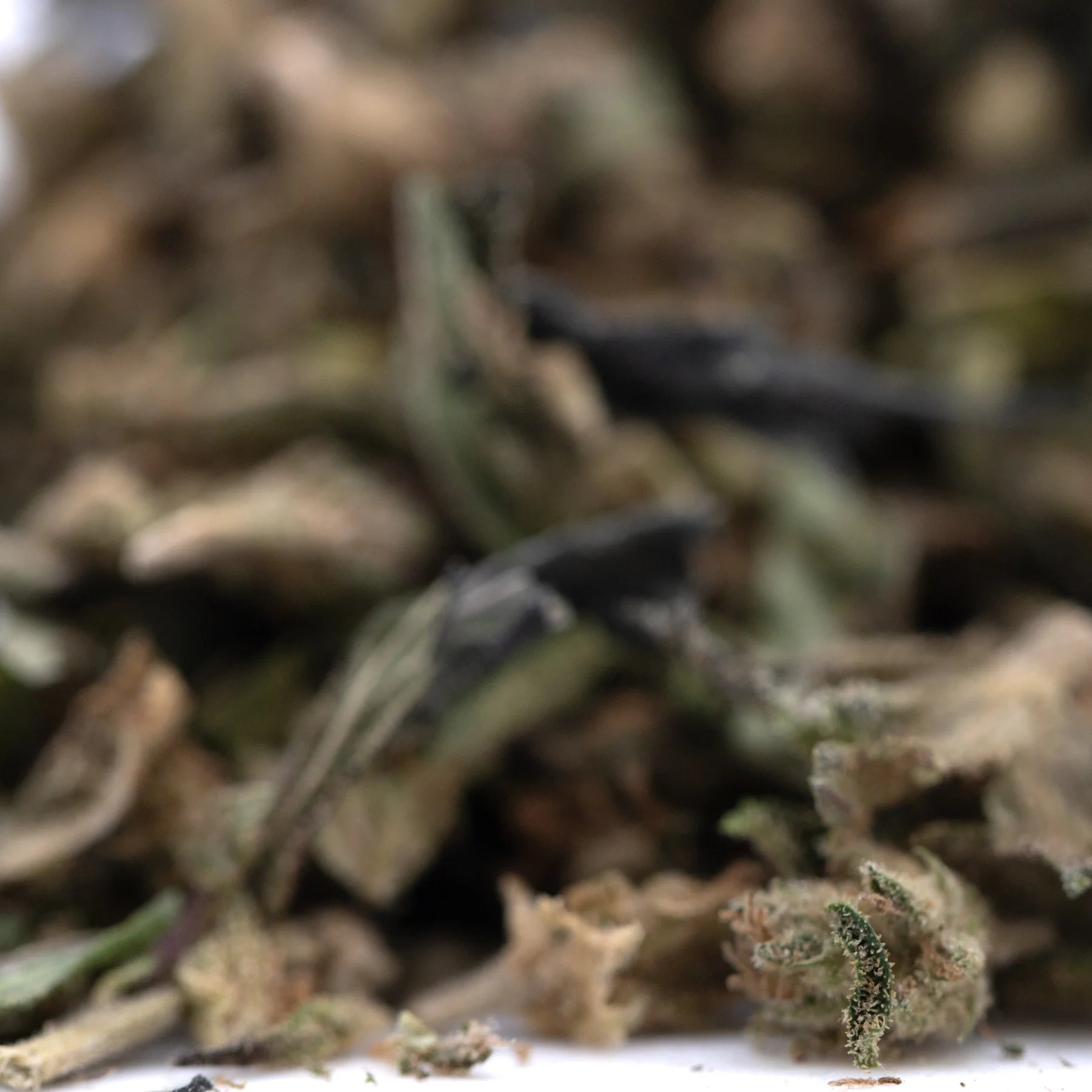 Dried green and brown full-term thca flower trim with textured leaves showcasing terpene profile from indoor cultivation