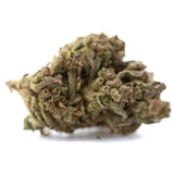 A dense textured ice cream’s thca flower bud with green and brown hues showcasing total cannabinoid potency for wholesale