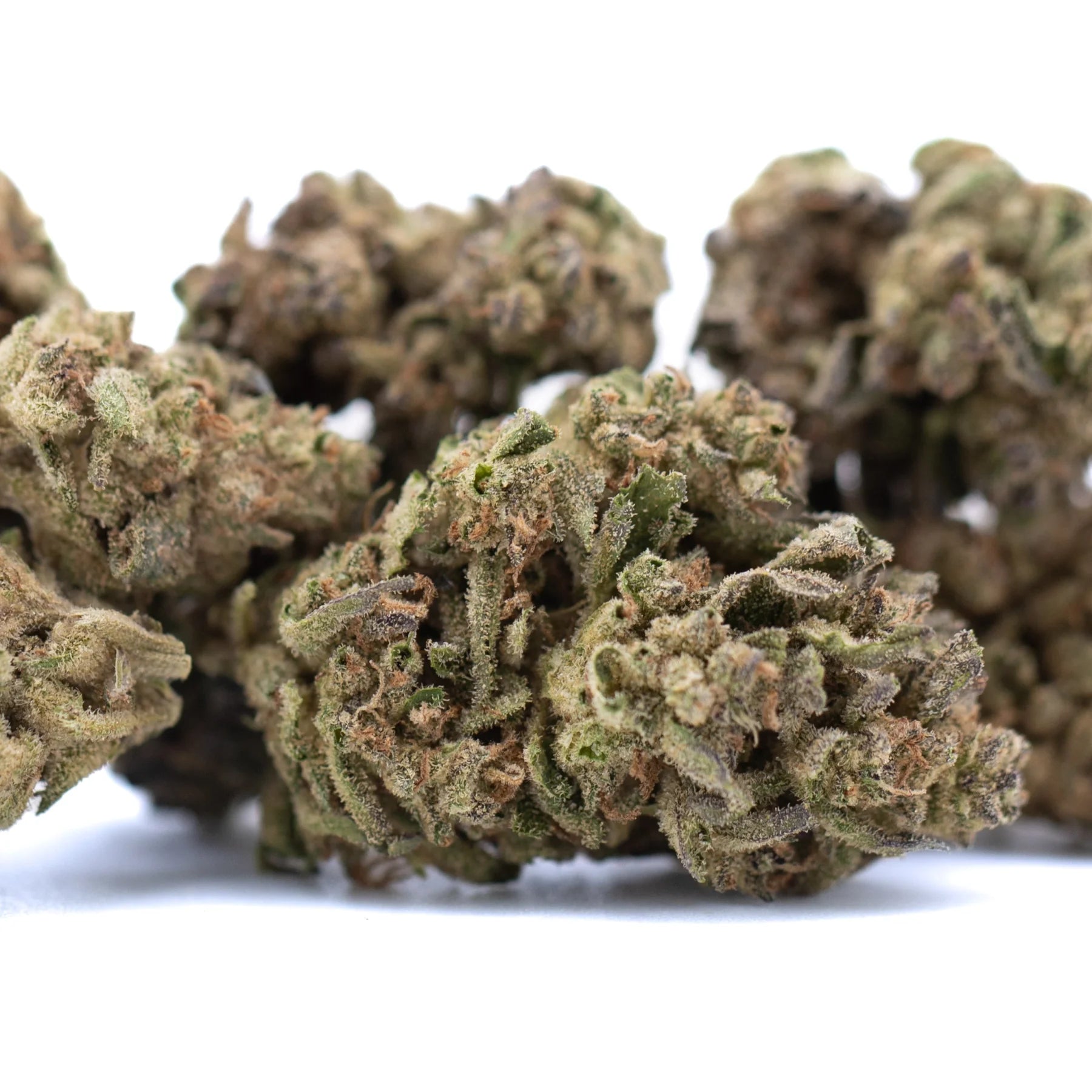 Dried ice cream thca flower buds with dense trichomes and greenish brown hues showcasing wholesale thca potency
