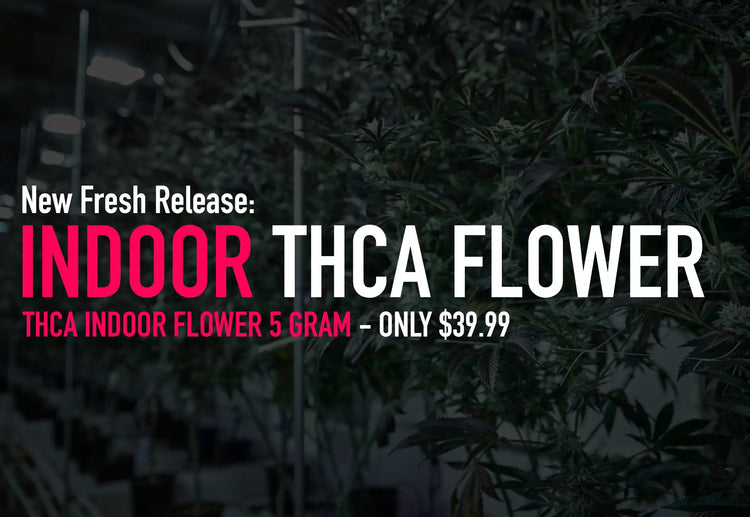 THCA Indoor Hemp Flower From Hemp Flower Co.