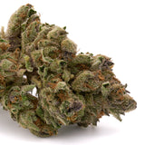 Dantes Inferno THCa Hemp Flower Greenhouse - Plants