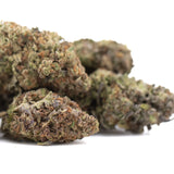 A cluster of jealousy greenhouse thca hemp flower buds with dense green brown and purple colors for mental stimulation