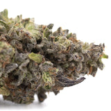 A dense jealousy greenhouse thca hemp flower bud with frosty trichomes and green purplish hues for mental stimulation