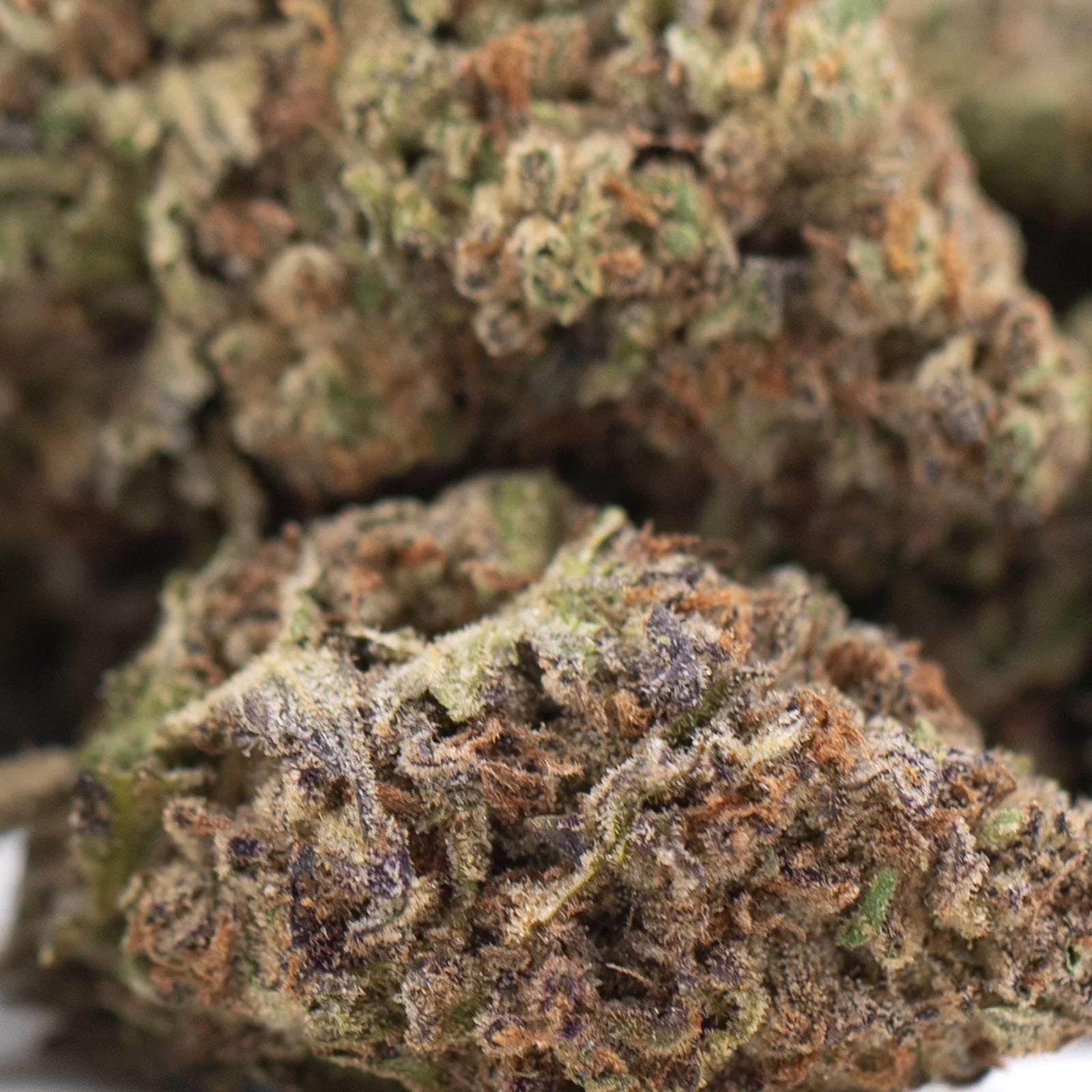 A dense jealousy greenhouse thca hemp flower bud with green brown hues and fine trichomes for mental stimulation