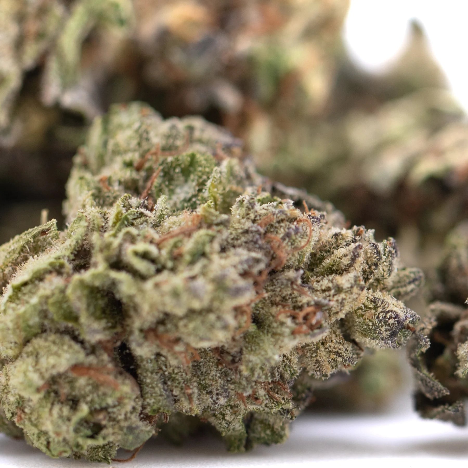 A dense green jealousy thca hemp flower bud with frosty trichomes and orange pistils rich in total cannabinoids