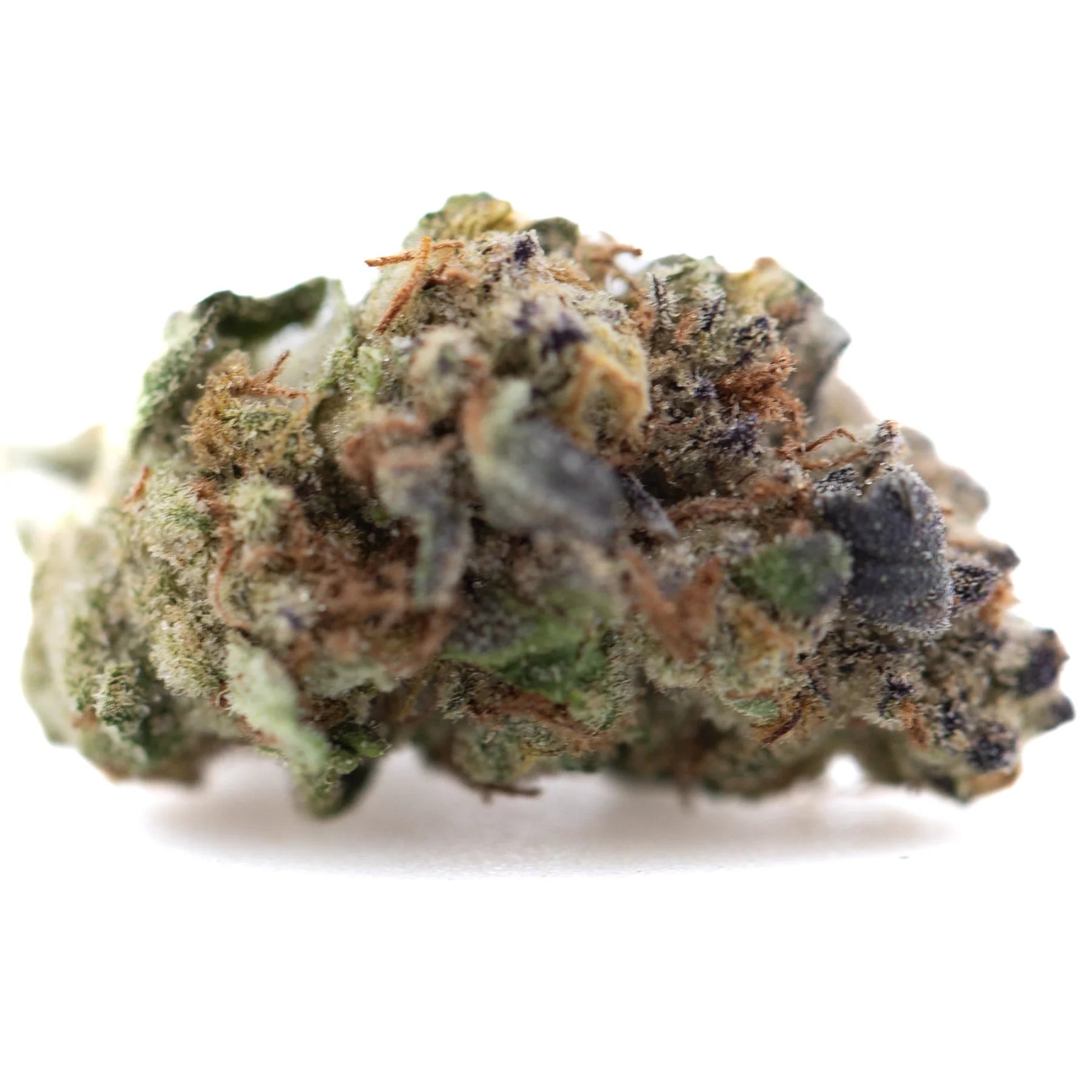A dense jealousy thca hemp flower bud with green purple and orange hues rich in total cannabinoids for wholesale use