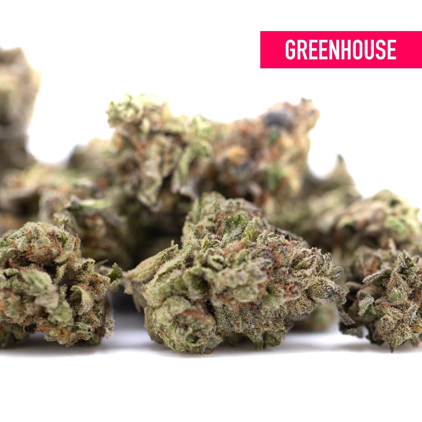 Jealousy thca hemp flower greenhouse smalls with dense frosty buds greenish brown hues and total cannabinoids content