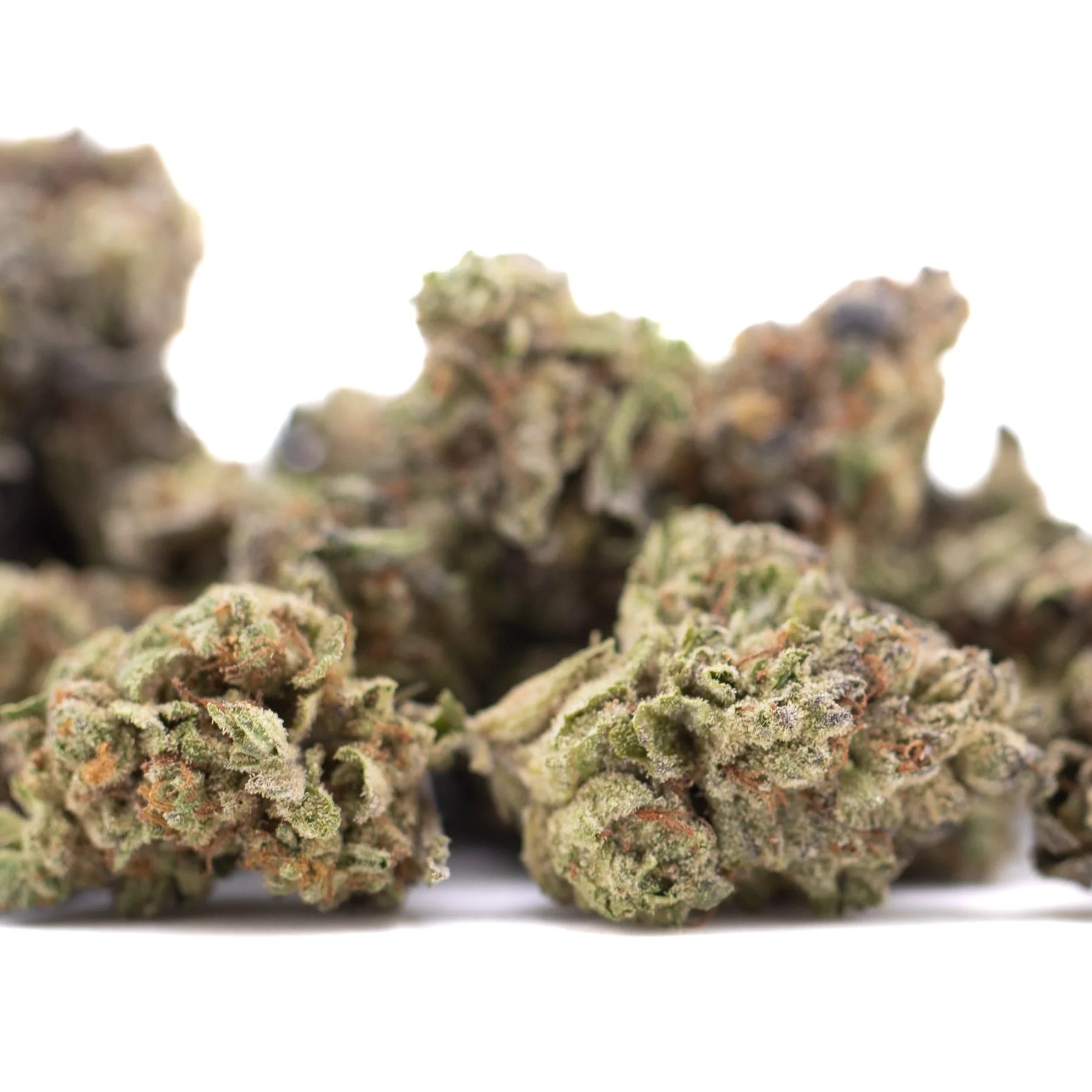 Lush dense jealousy thca hemp flower greenhouse smalls with green and orange hues high total cannabinoids
