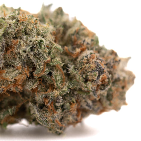 Close-up of Jelly Bean Indoor THCa Flower with dense structure, orange pistils, frosty trichomes, candy-like aromatics