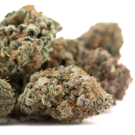 Dried Jelly Bean Indoor THCa Flower with candy-like aromatics and premium quality