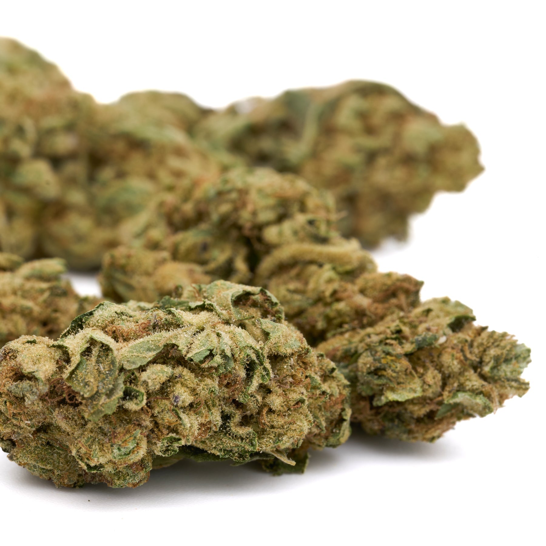 Dried cannabis buds of Jelly Breath THCa Hemp Flower Greenhouse displayed beautifully