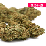Dried Jelly Breath THCa Hemp Flower from Greenhouse Wholesale, premium hemp flower
