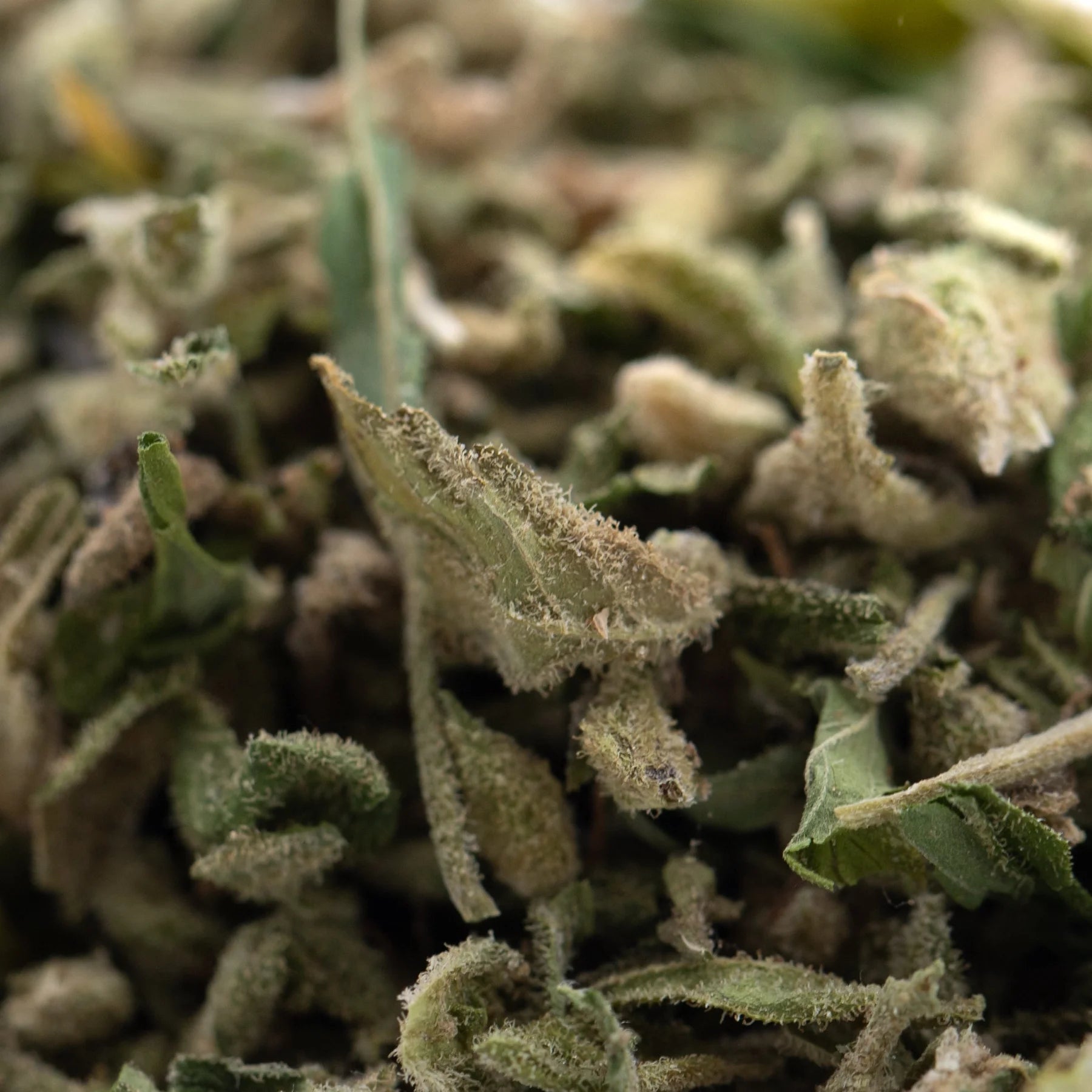 Dried jelly donut full-term thca trim with green and brown hues and white trichomes for deeply relaxing scout cookies and louis xiii effects