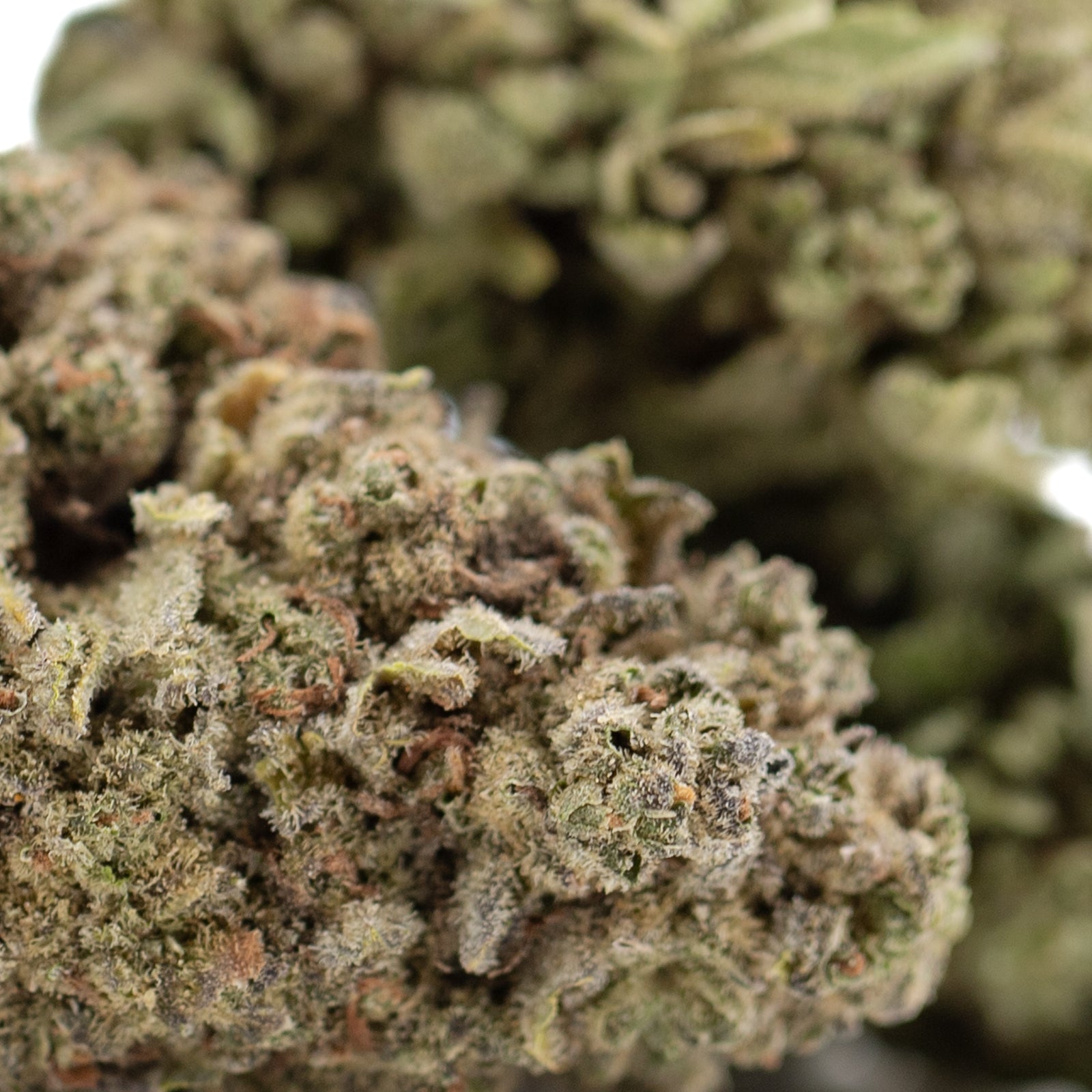 Premium Jelly Donut THCa Flower: Green Brown Hemp Bud with Trichomes