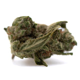 Premium Jelly Donut THCa Smalls cannabis bud with dense trichomes