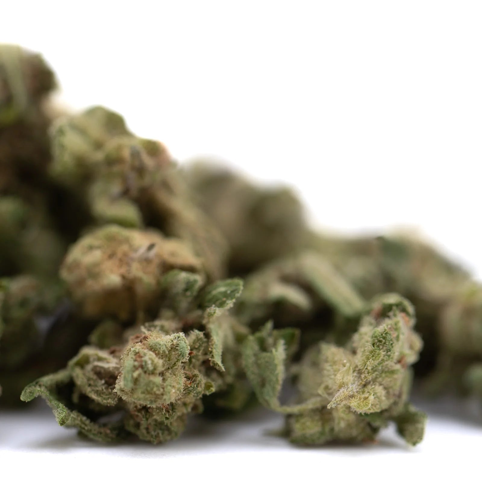 Jelly Donut THCa flower smalls: green bud with white trichomes