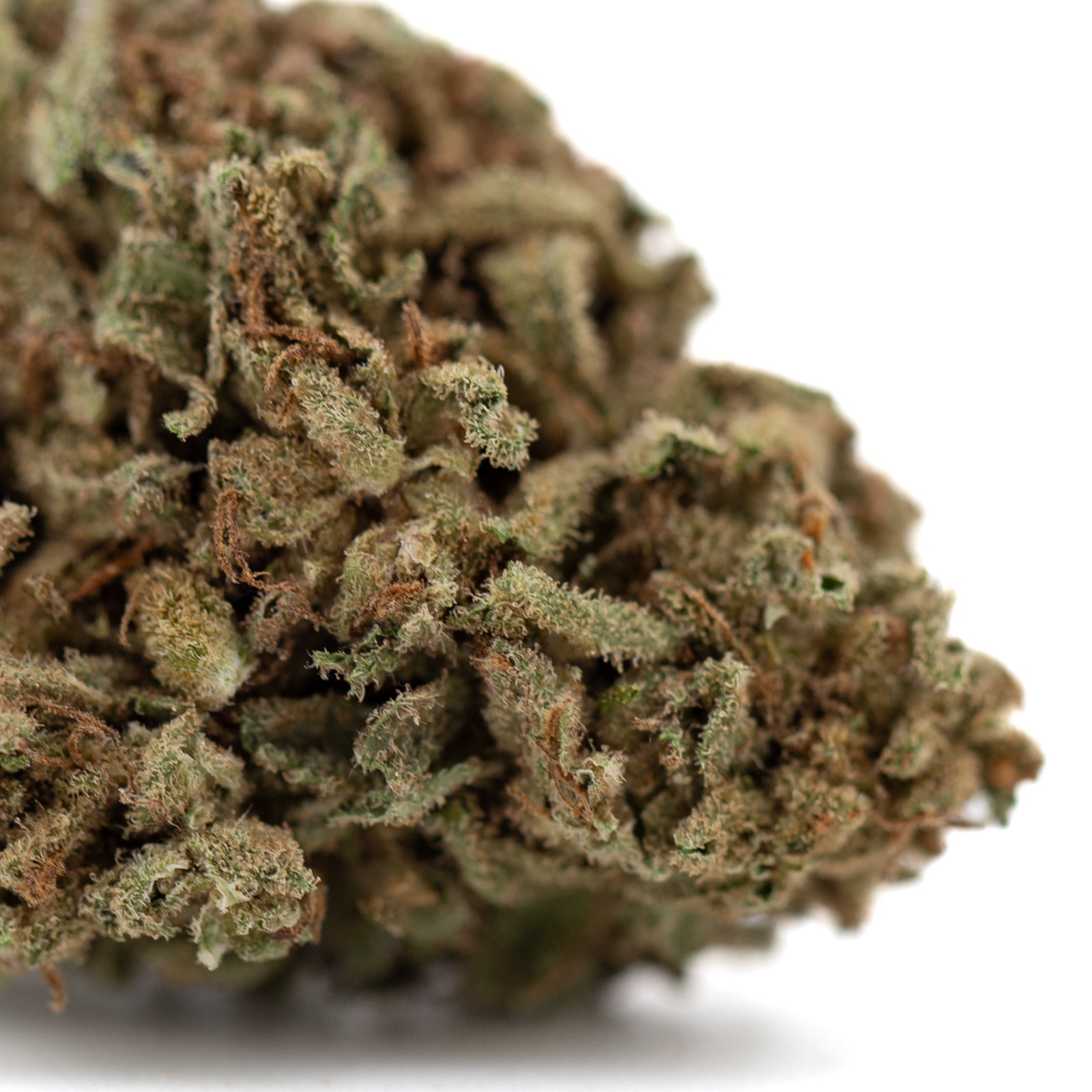 Premium Jelly Mints THCa Flower: Dense Green and Brown Hemp Bud with Trichomes