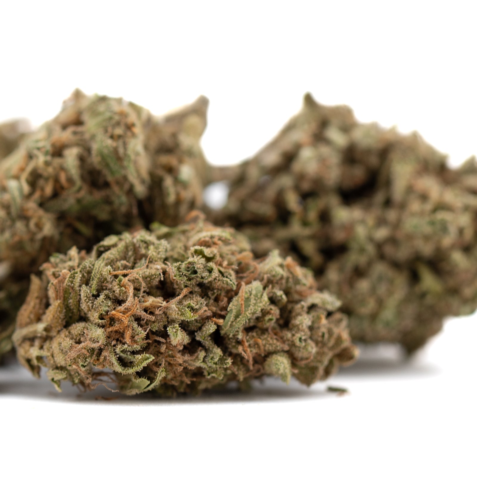 Jelly Mints THCa hemp flower bud with green hues and trichomes