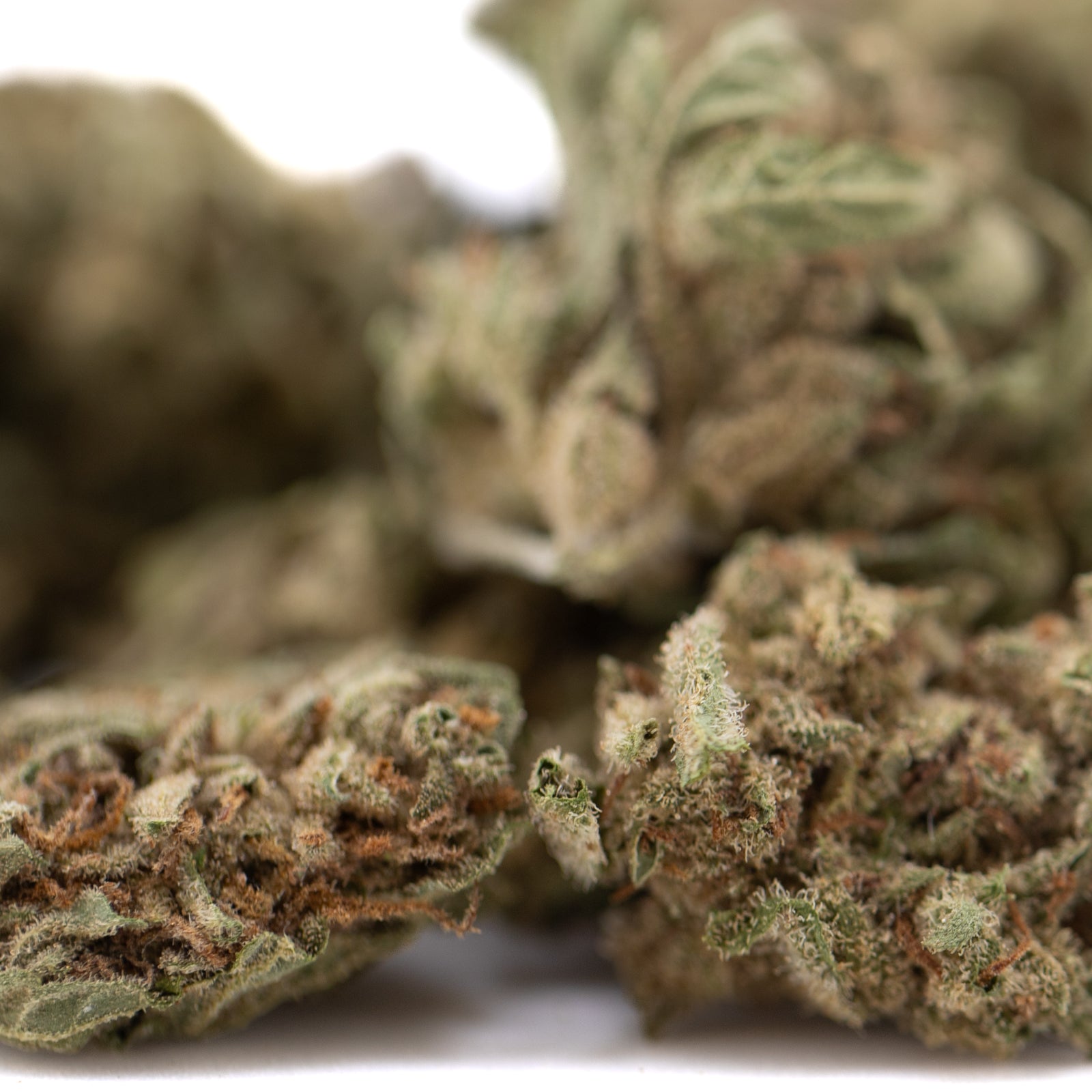 Premium Jelly Mints THCa Smalls bud with trichomes for sleep support