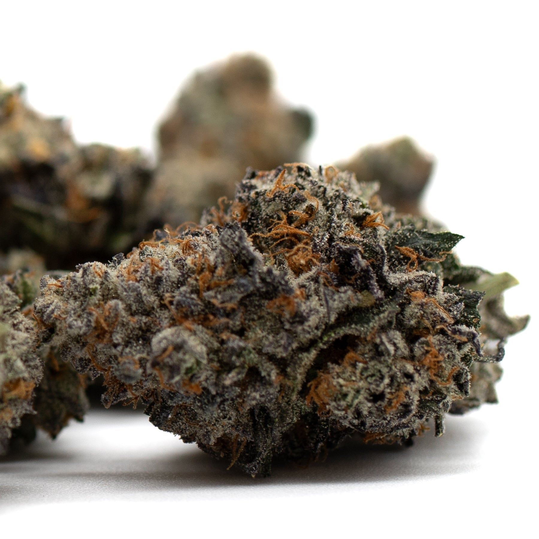 Close-up of Jessica Rabbit Indoor THCa Flower with orange hairs and frosty trichomes