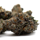 Close-up of Jessica Rabbit Indoor THCa Flower with orange hairs and frosty trichomes