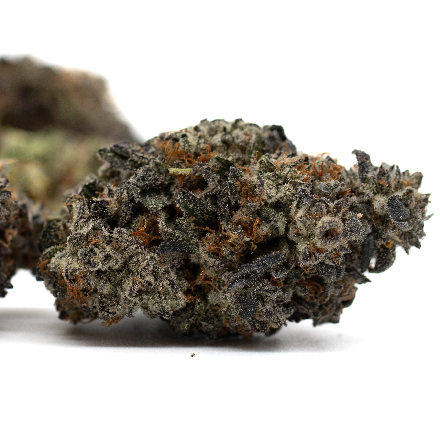 Jessica Rabbit Indoor THCa Flower with dense trichomes and orange hairs