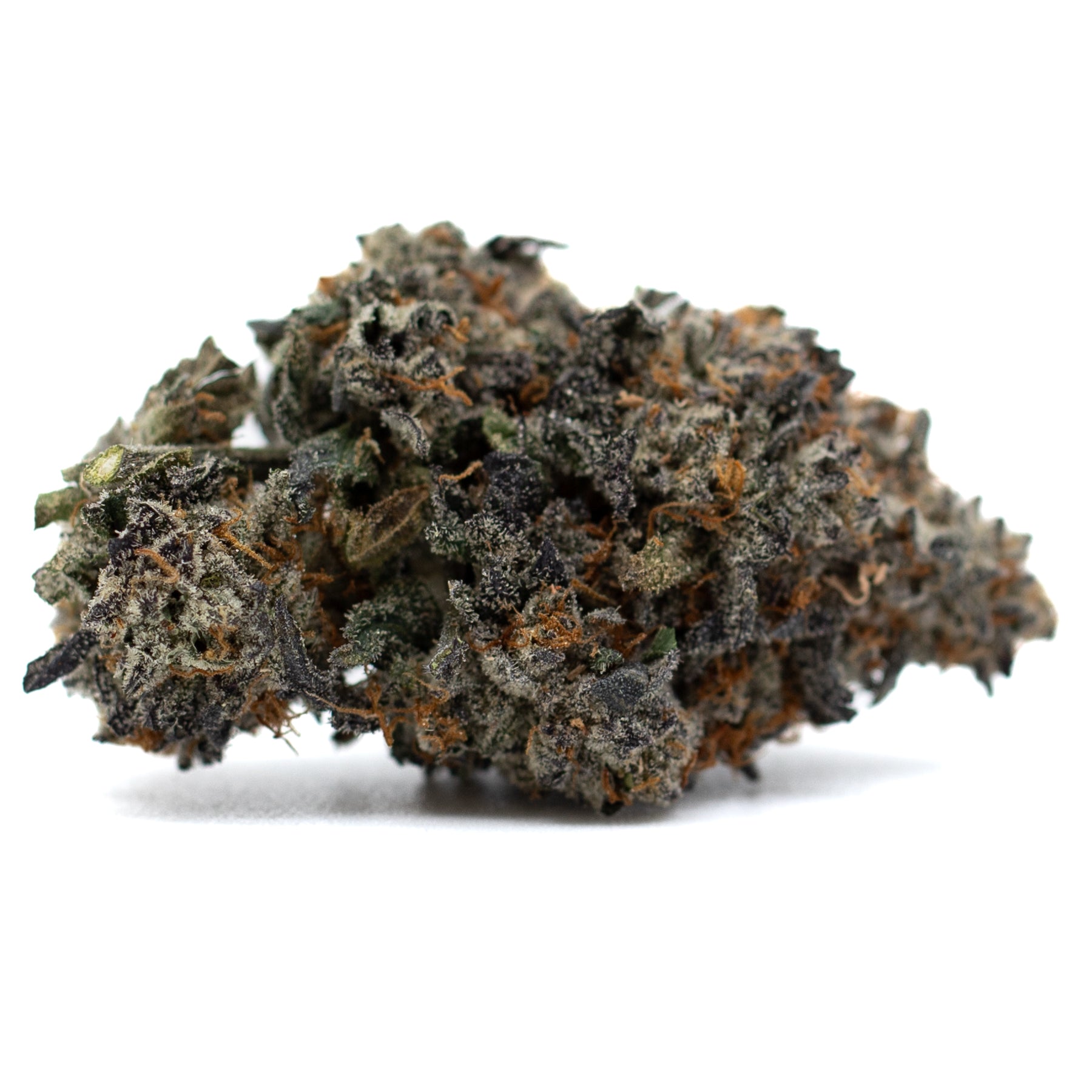 Dense dark resinous cannabis bud with orange pistils from Jessica Rabbit Indoor THCa Flower