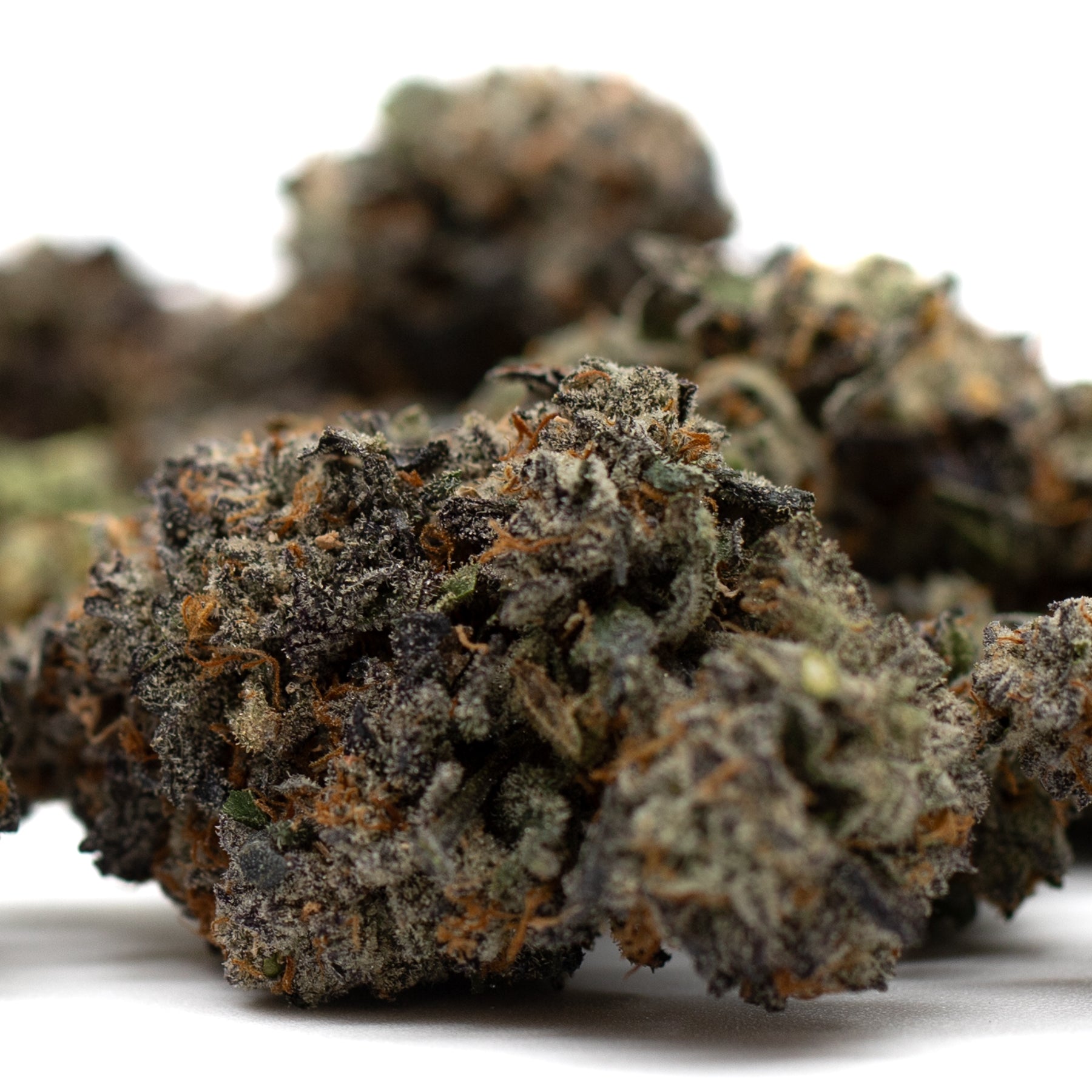 Dried Jessica Rabbit THCa Flower with orange hairs and frosty coating for orchard swirl sedation