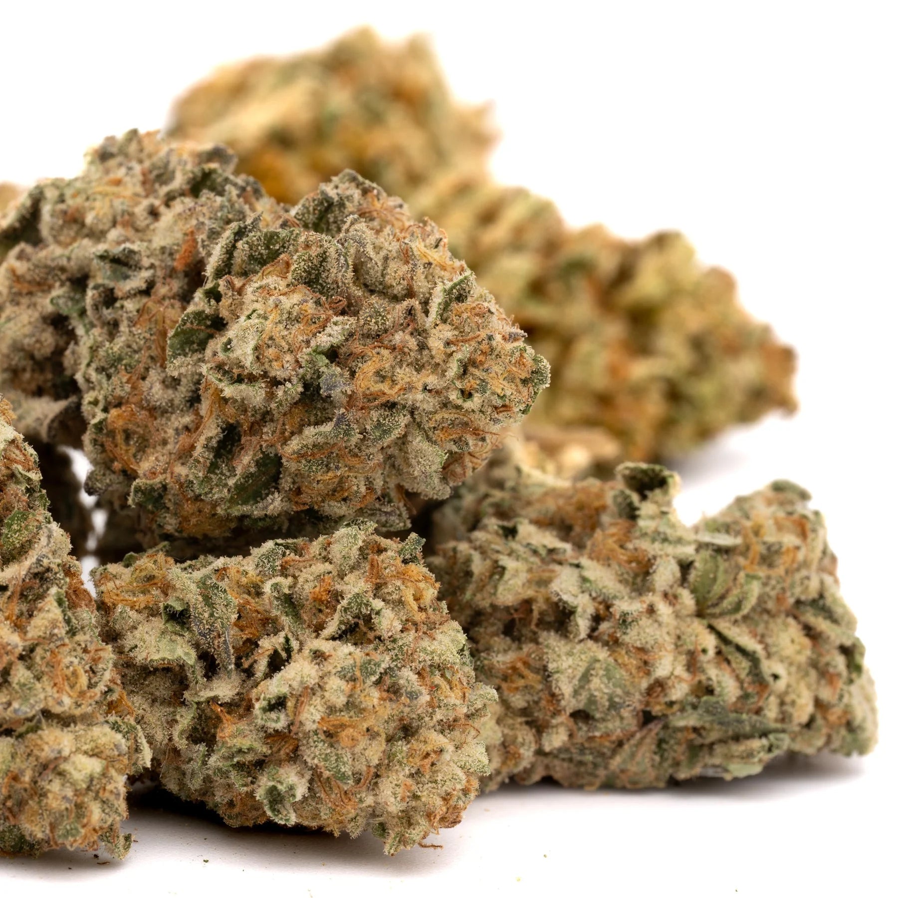 Jessica Rabbit THCa Flower Full-Term - Plants