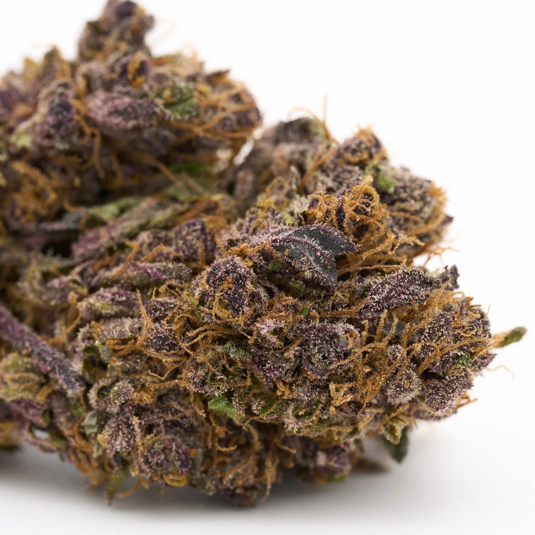 Close-up of a purple and orange cannabis bud from Jimi Hendrix Indoor THCa Flower, sour lemon hemp flower