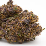 Close-up of a purple and orange cannabis bud from Jimi Hendrix Indoor THCa Flower, sour lemon hemp flower