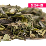 Dried green leafy joker og greenhouse thca trim with delicate stems and buds for mood elevation and east coast sour fans