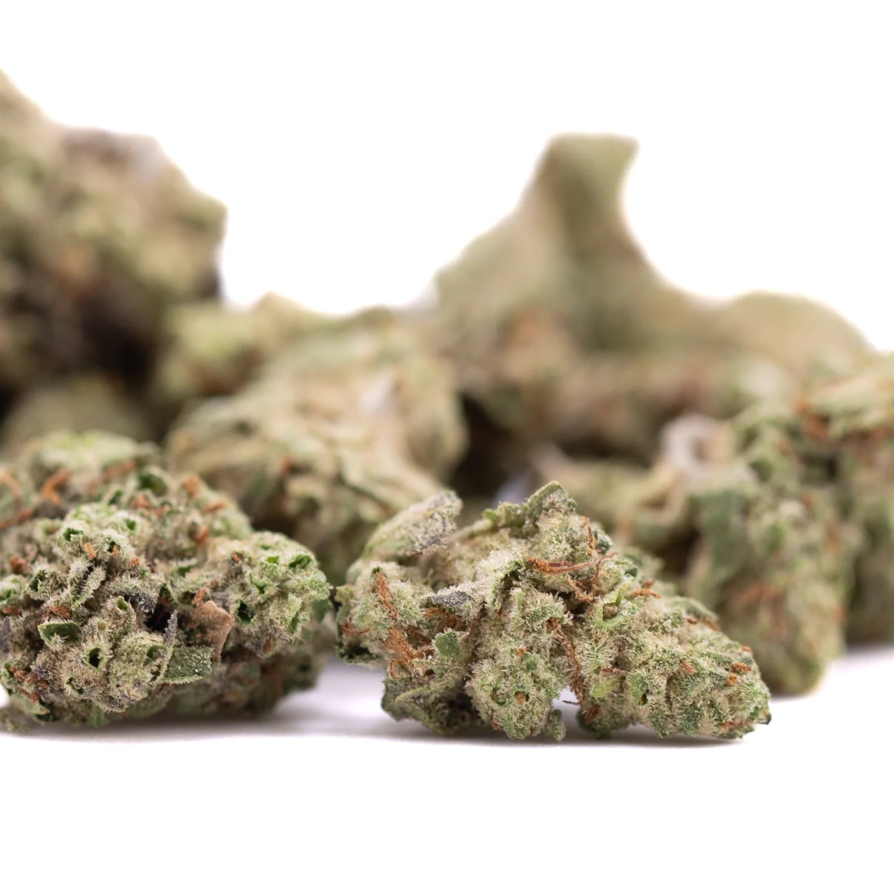 Greenhouse smalls joker og thca hemp flower with frosty buds and orange pistils offering laughter inducing effects
