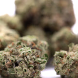 Lush dense joker og thca greenhouse smalls hemp flower buds with frosty green brown hues and laughter inducing effects