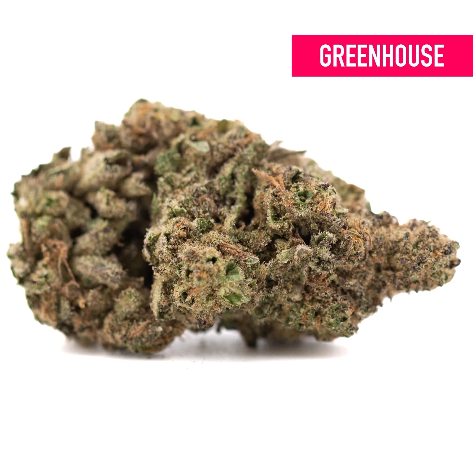 Joker OG THCa hemp flower bud with white orange trichomes Greenhouse
