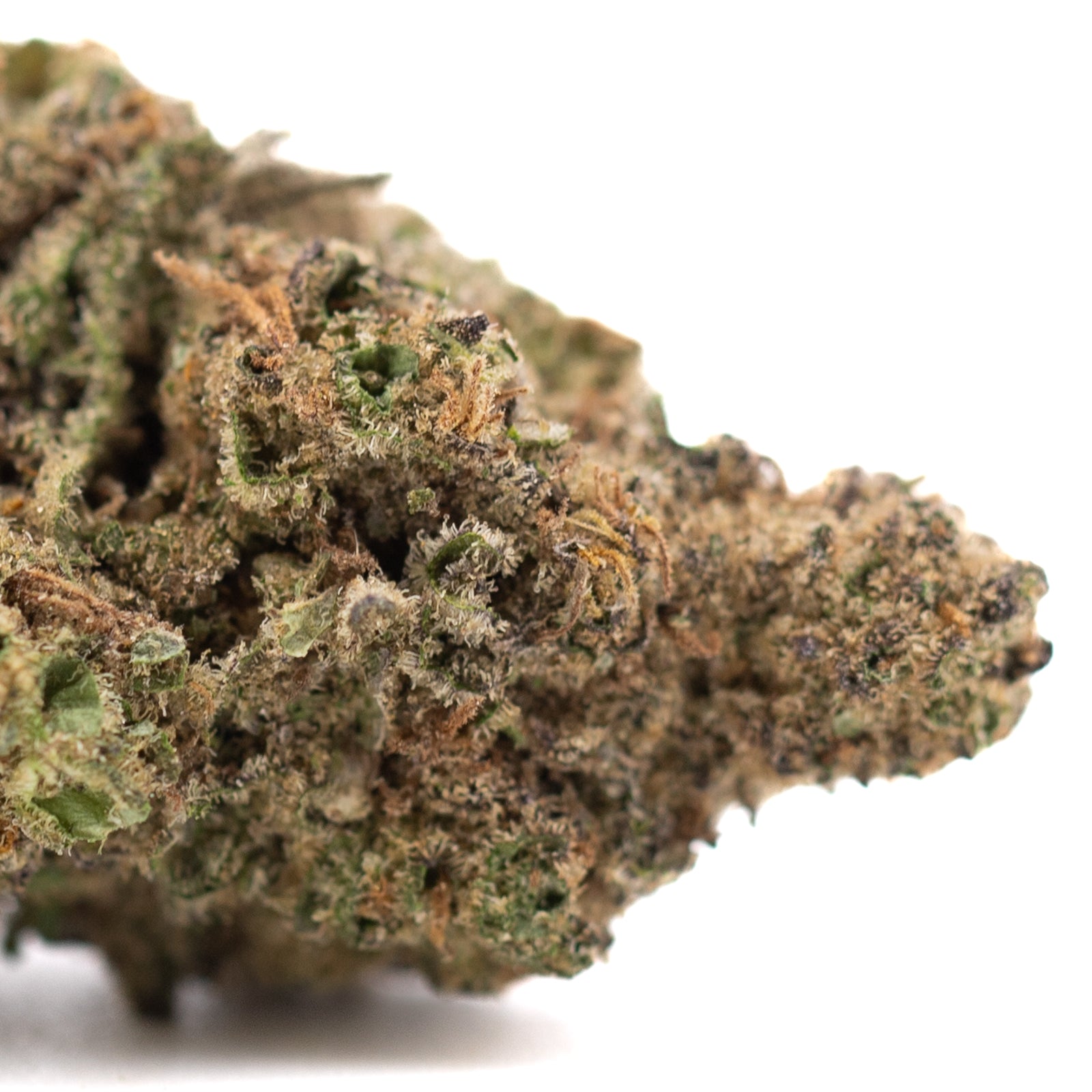 Joker OG THCa hemp flower bud with white orange trichomes Greenhouse