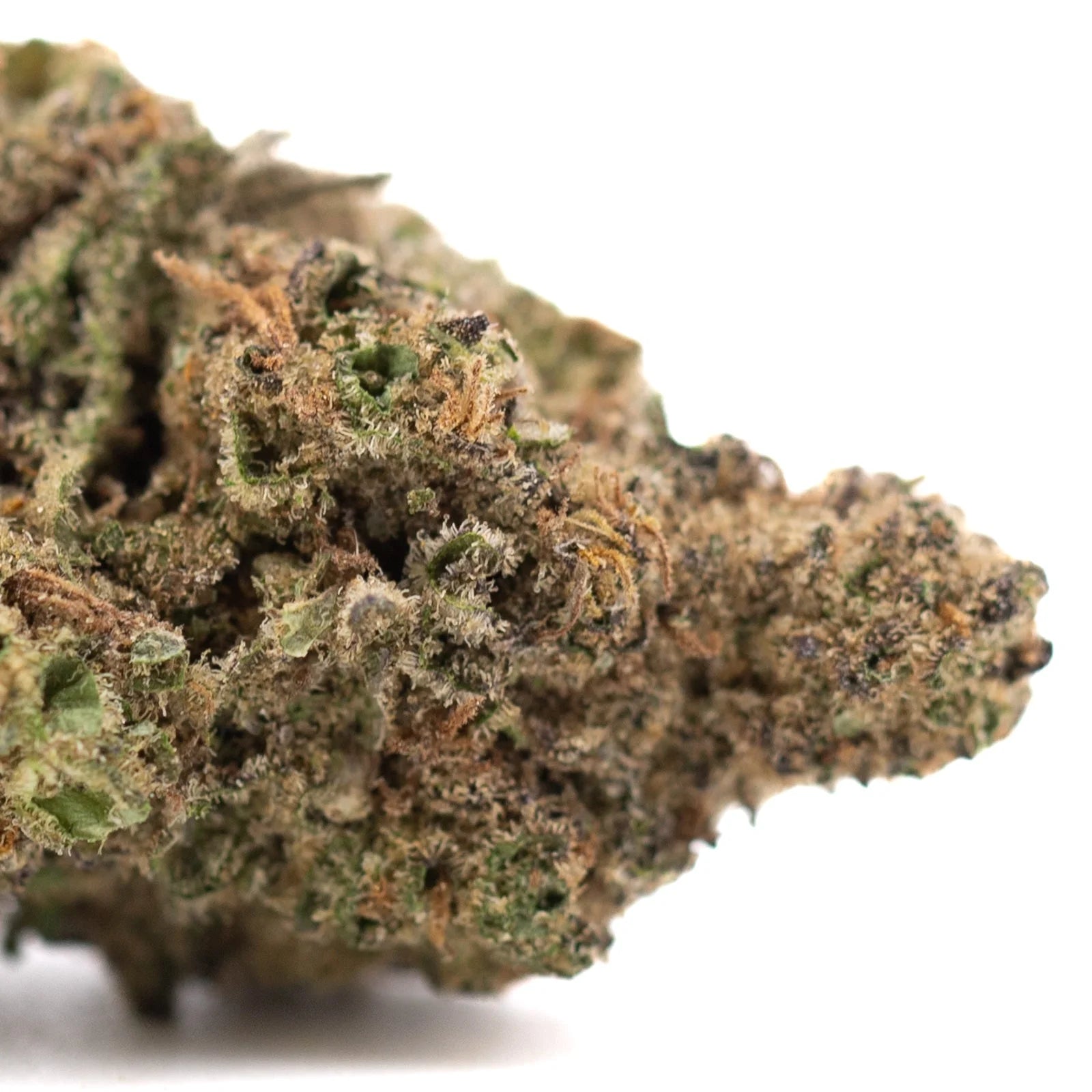 Joker OG THCa hemp flower bud with white orange trichomes Greenhouse