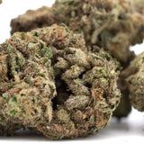 Joker OG’s hemp flower bud with green hues, trichomes, sour diesel notes