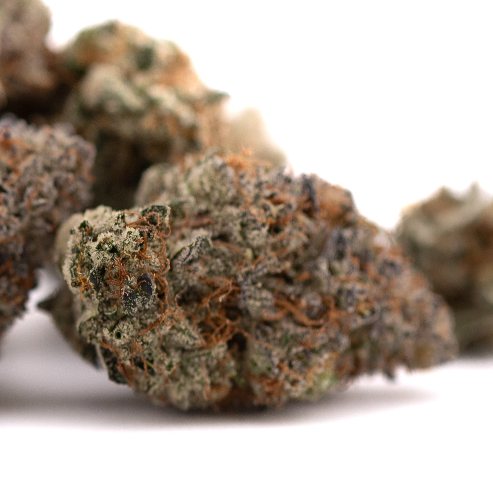 Dried Jokerz Candy Orchard Swirl THCa Flower with orange hairs and frosty trichomes