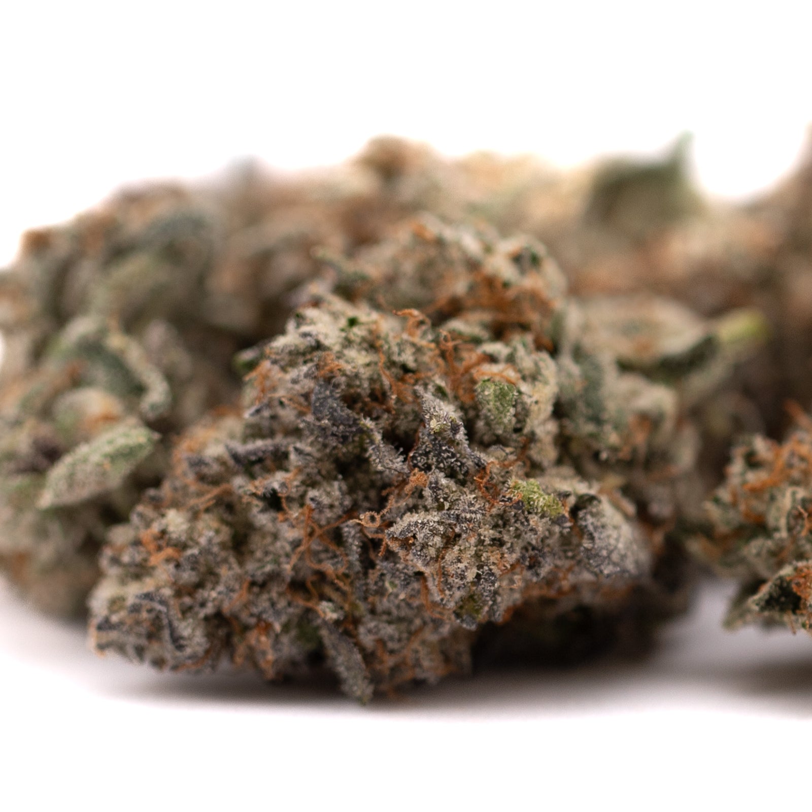 Dried Jokerz Candy’s Orchard Swirl Grape Gasoline THCa Flower with trichomes and orange hairs