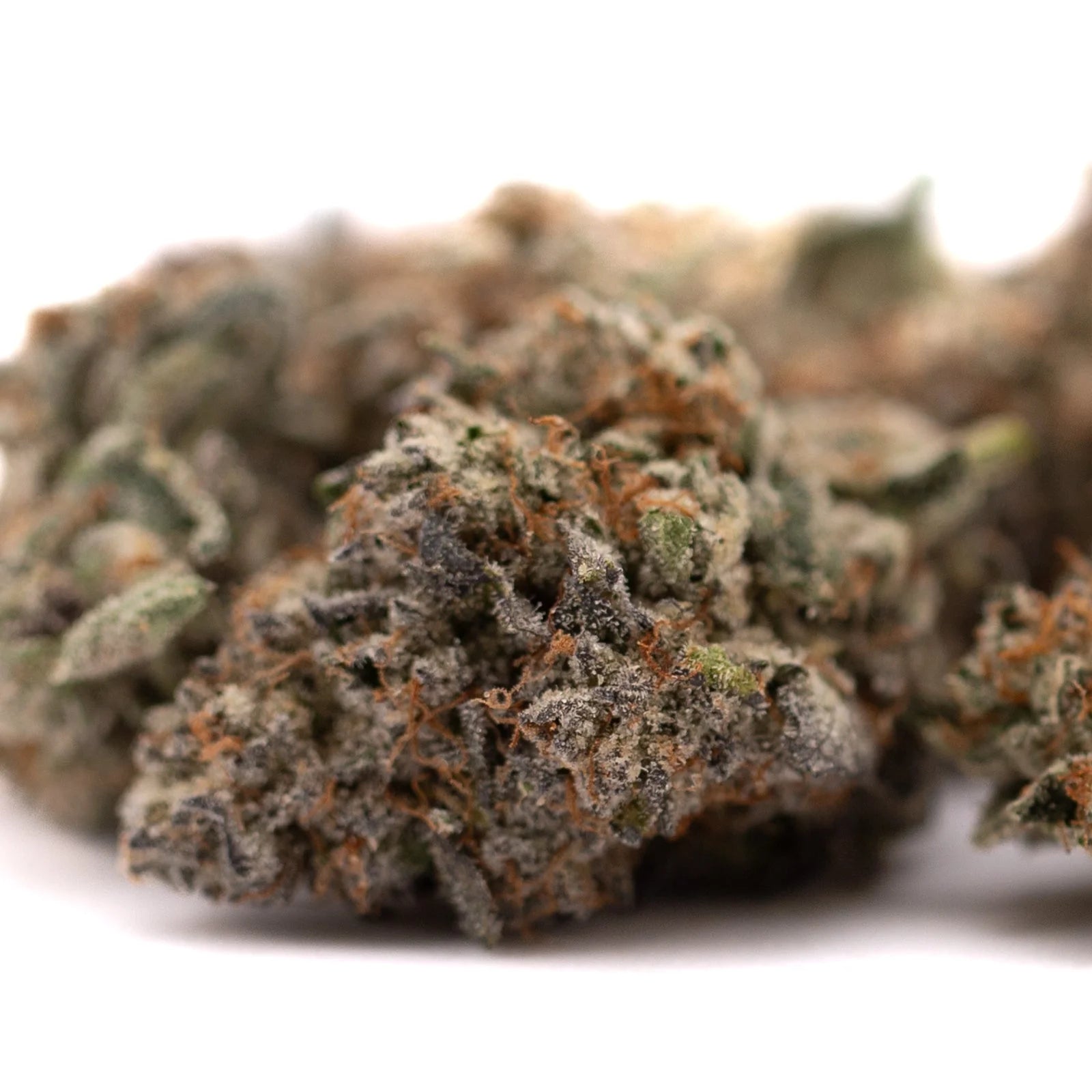 Dried Jokerz Candy hemp flower buds with orange hairs and frosty trichomes for wholesale