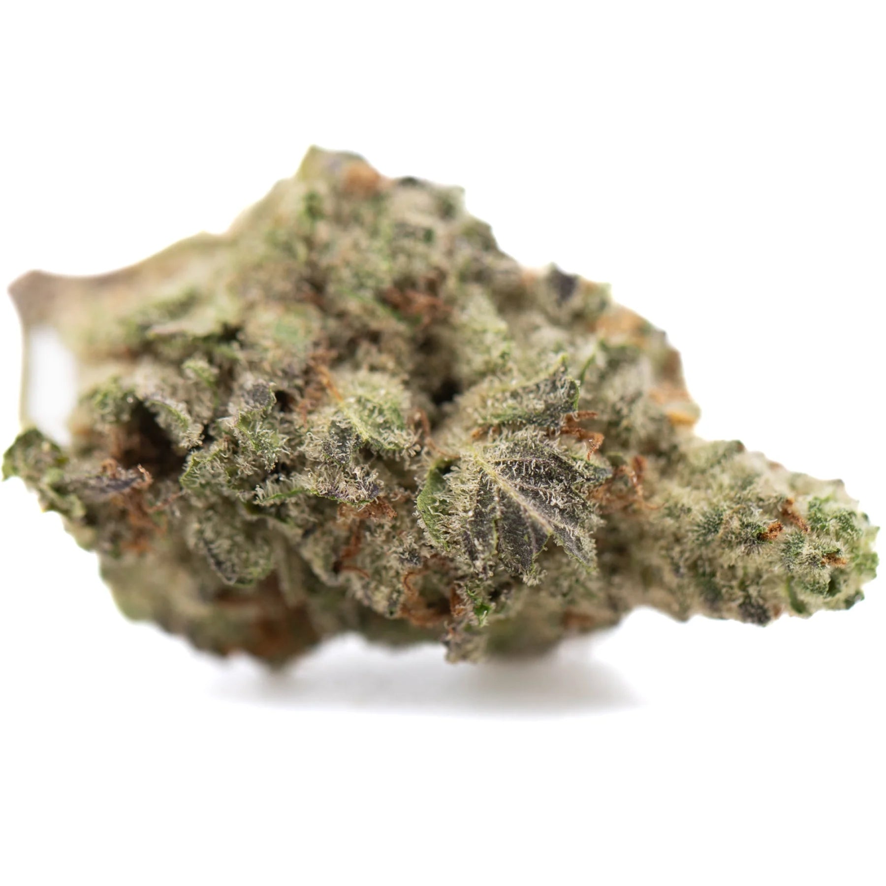 A dense green jokerz candy hemp flower greenhouse small coated with frosty white trichomes and orange pistils