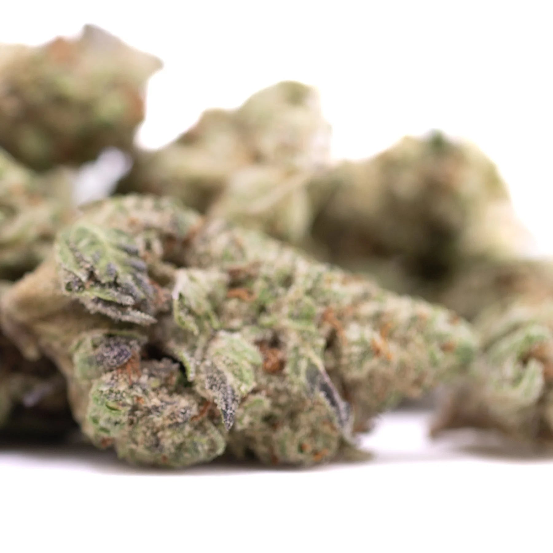 A dense green jokerz candy hemp flower greenhouse bud with trichomes and orange pistils grape gasoline strain