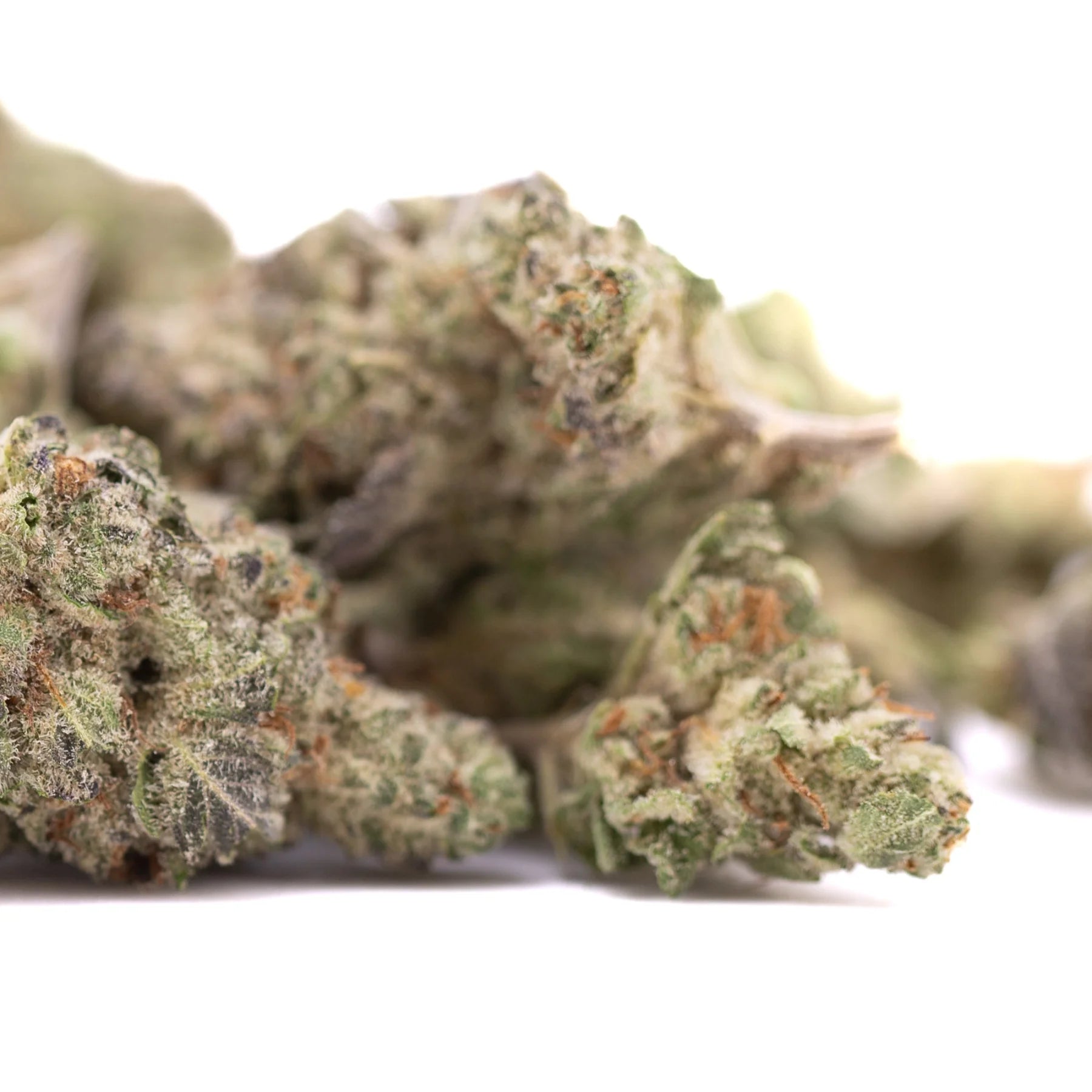 Lush green jokerz candy hemp flower greenhouse smalls with dense frosty buds and subtle orange pistils grape gasoline scent