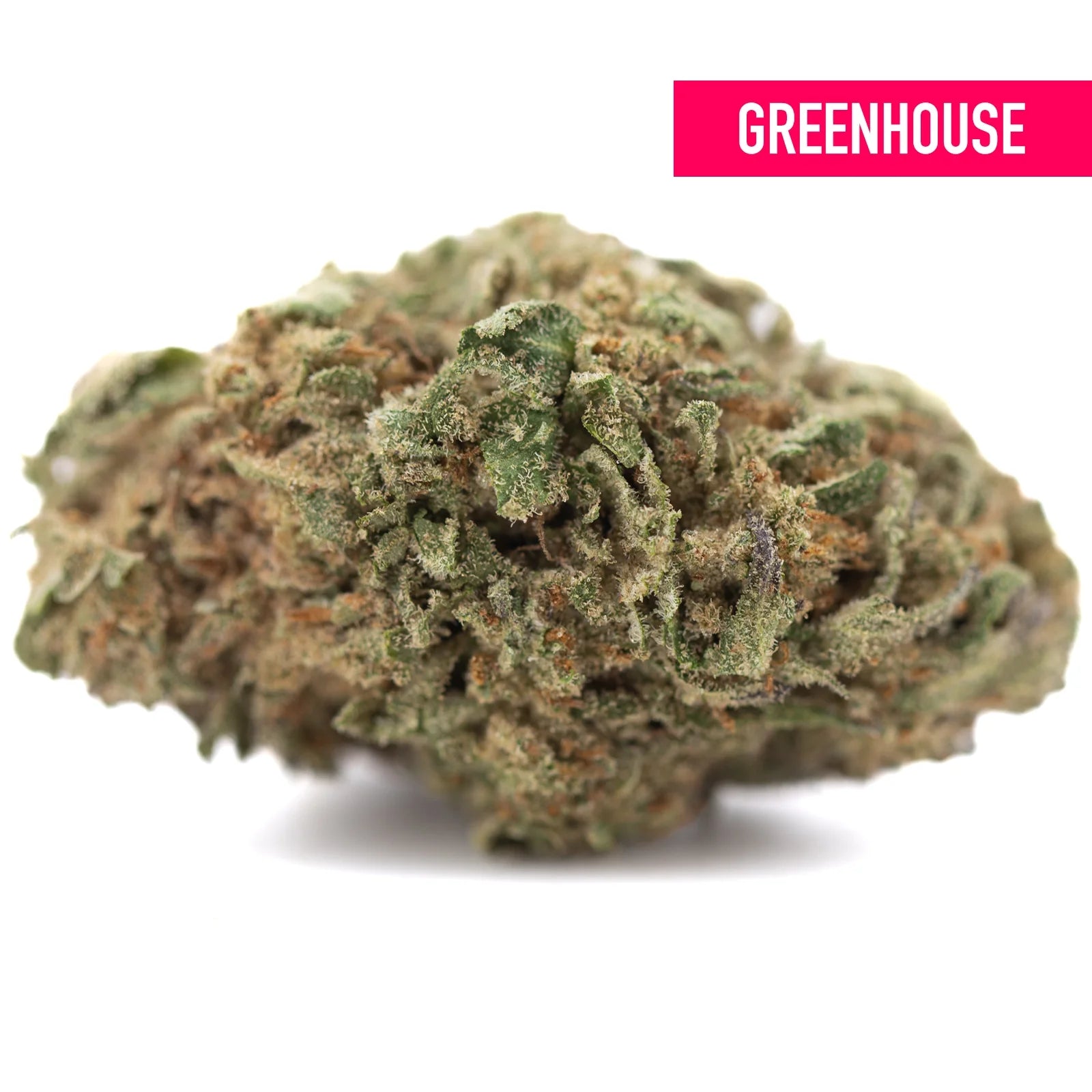 A dense greenish brown jokerz candy thca hemp flower bud with visible trichomes for grape gasoline mood elevation