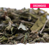 Dried white tea leaves with pale green and brown hues in jokerz nos greenhouse thca trim featuring jet fuel gelato and white runtz