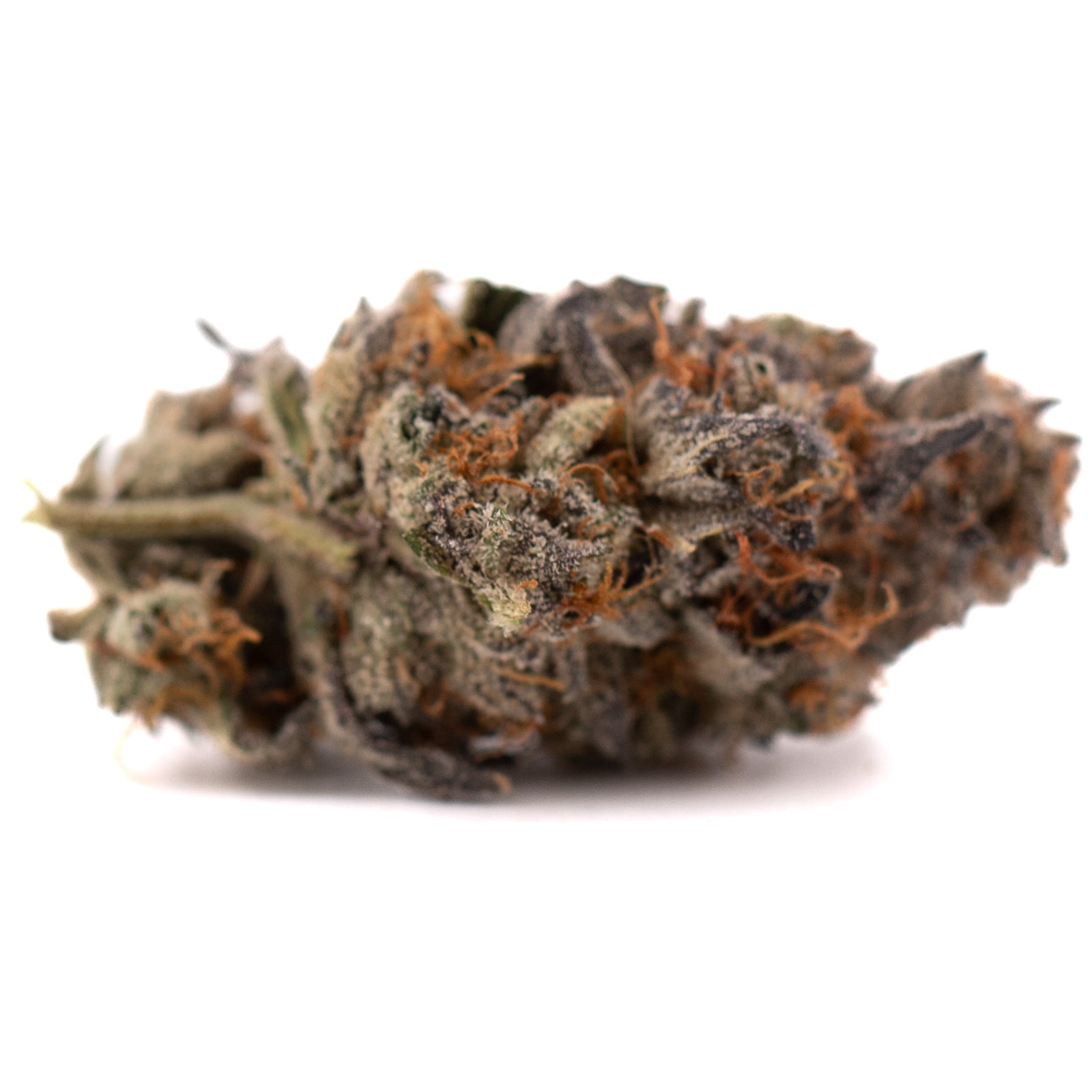 Jokerz NOS indoor THCa hemp flower with dense trichomes orange pistils and purple hues