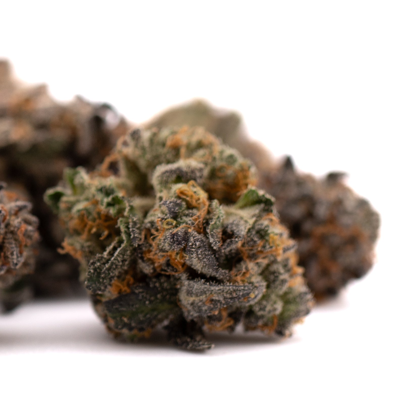 Dried Jokerz NOS Indoor THCa Flower with orange pistils and visible trichomes
