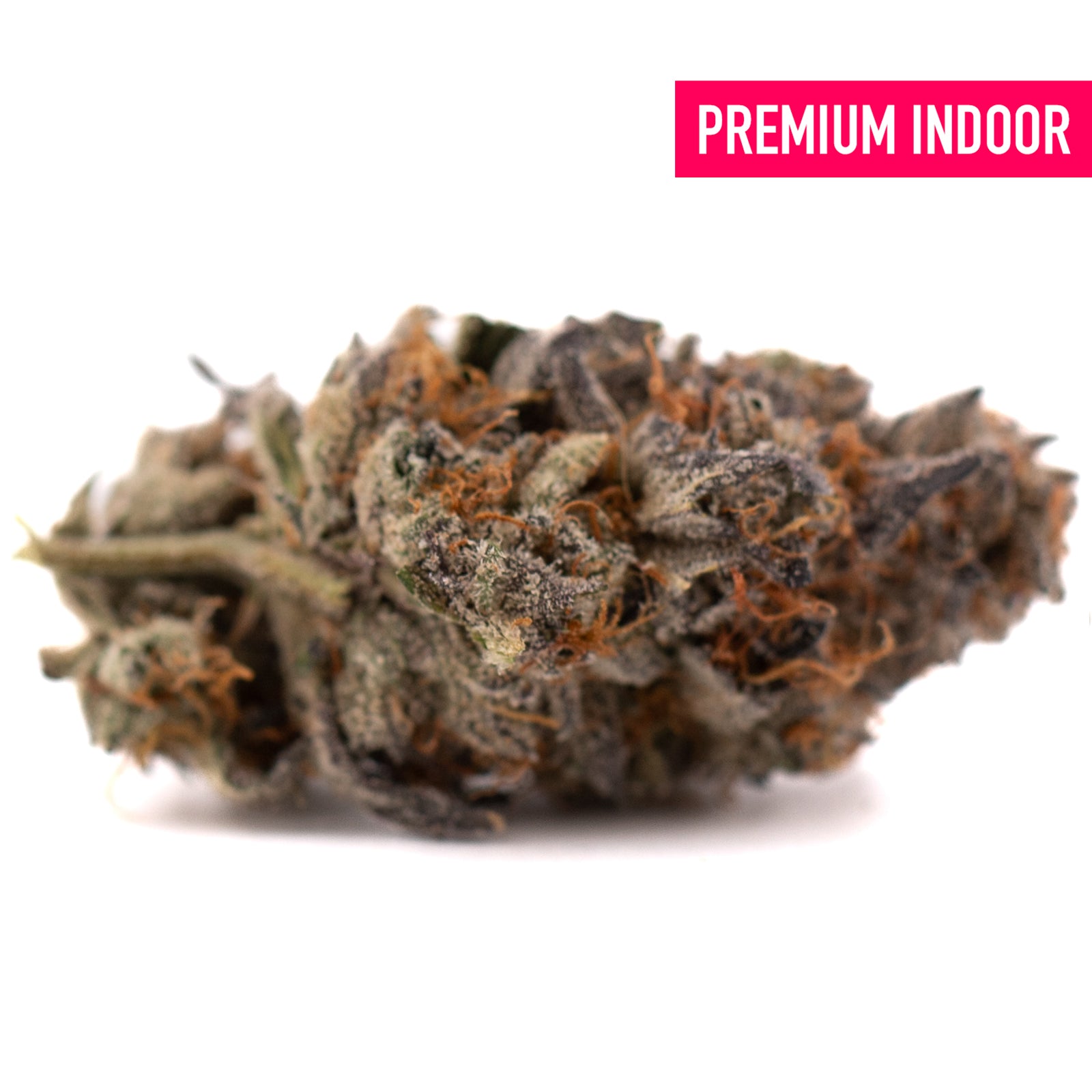 Premium Jokerz NOS indoor hemp flower with orange hairs and purple hues