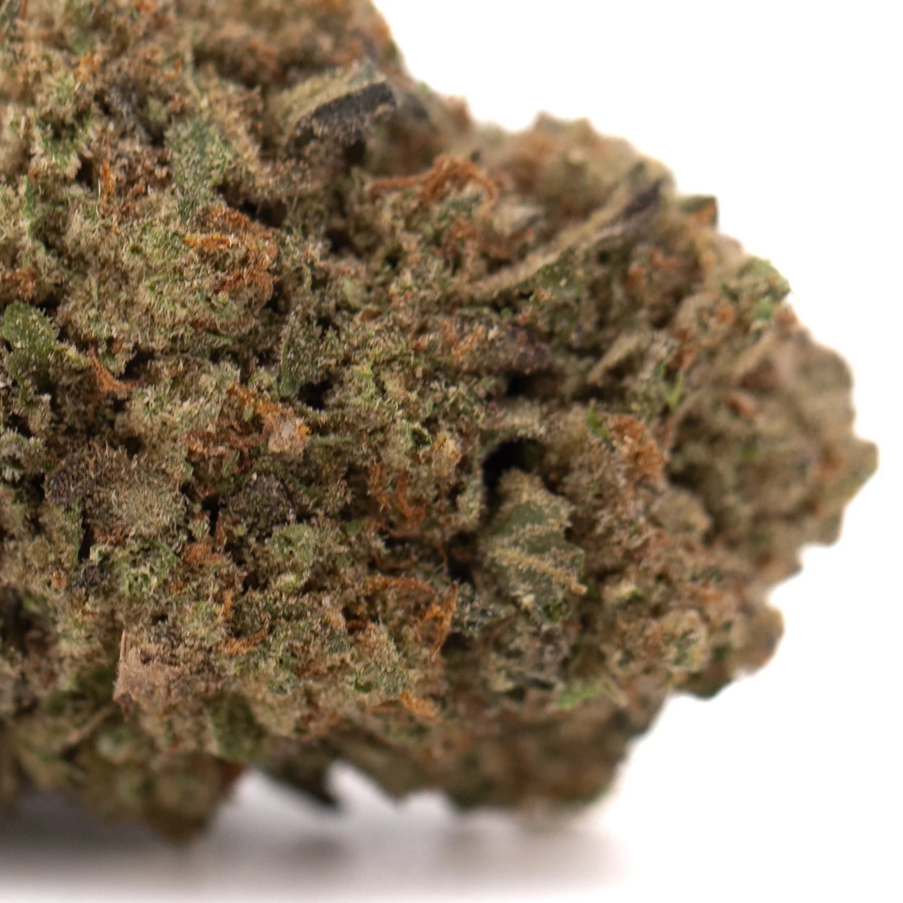 Dense textured jokerz nos thca hemp flower with green and brown hues similar to jet fuel and white runtz thca flower